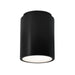 Justice Designs - CER-6100W-CRB - Flush-Mount - Radiance - Carbon - Matte Black