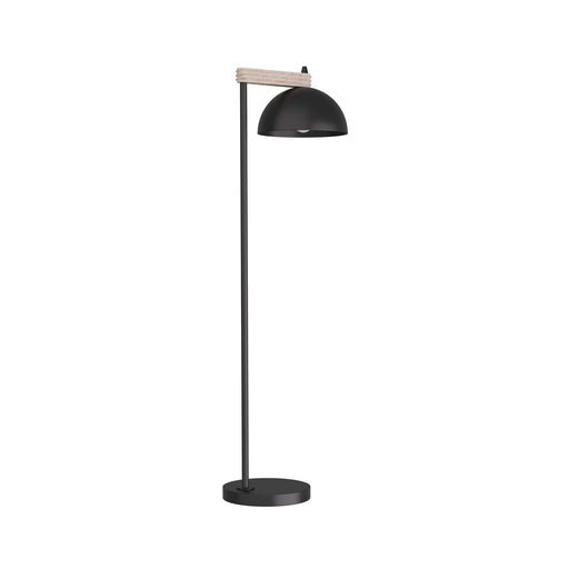 Arteriors - PFI03 - One Light Floor Lamp - Thea - Blackened Iron