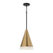 Capital Lighting - 351911AB - One Light Pendant - Avant - Aged Brass and Black