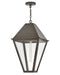 Hinkley - 28862BLB - LED Hanging Lantern - Endsley - Blackened Brass