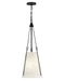 Hinkley - 45027BK - LED Pendant - Danvers - Black