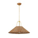 Mitzi - H894701L-AGB - One Light Pendant - Davida - Aged Brass