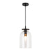 Alora - PD515408MBCL - One Light Pendant - Sylvia - Matte Black/Clear Glass