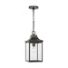 Generation Lighting. - GLO1041ANBZ - One Light Pendant - Say brook - Antique Bronze