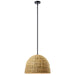 Kichler - 44399BK - One Light Mini Pendant - Raffiana - Black