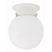 Capital Lighting - 5569WH - One Light Flush Mount - Globe - White