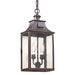 Troy Lighting - F9004-SFB - Two Light Hanging Lantern - Newton - Soft Off Black