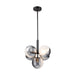 Artcraft - AC11885BK - Five Light Pendant - Bolla - Black