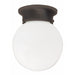 Capital Lighting - 5569BB - One Light Flush Mount - Globe - Burnished Bronze