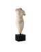 Currey and Company - 1200-0798 - Goddess Venus - Aged Beige/Black