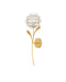 Currey and Company - 5000-0250 - One Light Wall Sconce - Dandelion - Contemporary Silver Leaf/Silver/Contemporary Gold Leaf