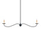 Currey and Company - 9000-1126 - Two Light Chandelier - Saxon - Zanzibar Black