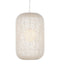 Currey and Company - 9000-1210 - One Light Pendant - Cream/Vanilla/White