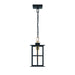 Eurofase - 47388-017 - LED Pendant - Greyson - Brass-Black