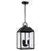 Capital Lighting - 953434BK - Three Light Outdoor Hanging Lantern - Nelson - Black