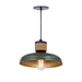 Maxim - 22492JU - One Light Pendant - Bingham - June Bug