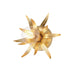 Maxim - 2880GL - One Light Wall Sconce - Paloma - Gold Leaf