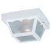 Generation Lighting. - 7569-15 - Two Light Outdoor Flush Mount - Outdoor Ceiling - White