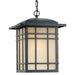 Quoizel - HC1913IB - One Light Outdoor Hanging Lantern - Hillcrest - Imperial Bronze