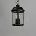 Maxim - 3028CDBZ - Three Light Outdoor Hanging Lantern - Dover DC - Bronze