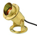 Hinkley - 1539BS - LED Landscape Spot - Accent Pond Light - Brass