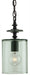 Currey and Company - 9060 - One Light Pendant - Panorama - Satin Black