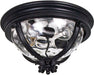 Maxim - 41420WGBK - Three Light Outdoor Ceiling Mount - Camden VX - Black