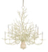 Currey and Company - 9188 - 12 Light Chandelier - Seaward - White Coral/Natural Sand