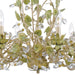 Crystorama - 4846-CT - Six Light Chandelier - Josie - Champagne Green Tea