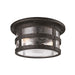 Troy Lighting - C3310-APW - Two Light Flush Mount - Barbosa - Aged Pewter