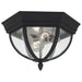 Generation Lighting. - 78136-12 - Two Light Outdoor Flush Mount - Wynfield - Black