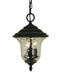 Framburg - 1221 CH - Three Light Exterior Ceiling Mount - Hartford - Charcoal