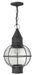 Hinkley - 2202DZ - LED Hanging Lantern - Cape Cod - Aged Zinc