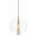 Arteriors - DK49913 - One Light Pendant - Caviar - Clear