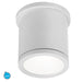 W.A.C. Lighting - FM-W2605-WT - LED Flush Mount - Tube - White