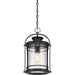 Quoizel - BKR1910K - One Light Outdoor Hanging Lantern - Booker - Mystic Black