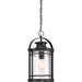 Quoizel - BKR1910K - One Light Outdoor Hanging Lantern - Booker - Mystic Black