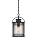 Quoizel - BKR1910K - One Light Outdoor Hanging Lantern - Booker - Mystic Black