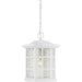 Quoizel - SNN1909W - One Light Outdoor Hanging Lantern - Stonington - Matte White