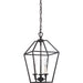 Quoizel - AVY5203PN - Three Light Foyer Pendant - Aviary - Palladian Bronze