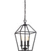 Quoizel - AVY5203PN - Three Light Foyer Pendant - Aviary - Palladian Bronze