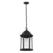 Generation Lighting. - 6238701-12 - One Light Outdoor Pendant - Sevier - Black