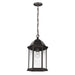 Generation Lighting. - 6238701-71 - One Light Outdoor Pendant - Sevier - Antique Bronze