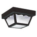 Generation Lighting. - 7569EN3-32 - Two Light Outdoor Flush Mount - Outdoor Ceiling - Black