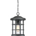 Quoizel - CSE1910EK - One Light Outdoor Hanging Lantern - Crusade - Earth Black