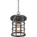 Quoizel - CSE1910PN - One Light Outdoor Hanging Lantern - Crusade - Palladian Bronze