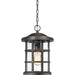 Quoizel - CSE1910PN - One Light Outdoor Hanging Lantern - Crusade - Palladian Bronze