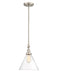 Savoy House - 7-9132-1-SN - One Light Pendant - Drake - Satin Nickel