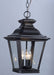 Maxim - 1139CLBZ - Three Light Outdoor Hanging Lantern - Knoxville - Bronze