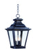 Maxim - 1139CLBZ - Three Light Outdoor Hanging Lantern - Knoxville - Bronze